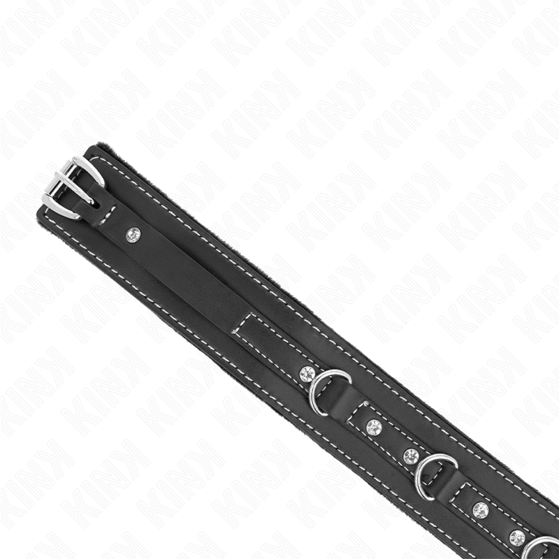 Collier BDSM Cuir avec Laisse 105 cm Rivets Strass Réglable - Kink