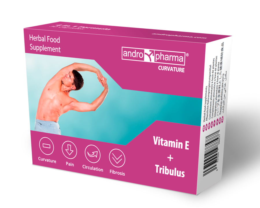 Complément Curvature Courbure de la Verge Cure Naturelle - Andro Medical