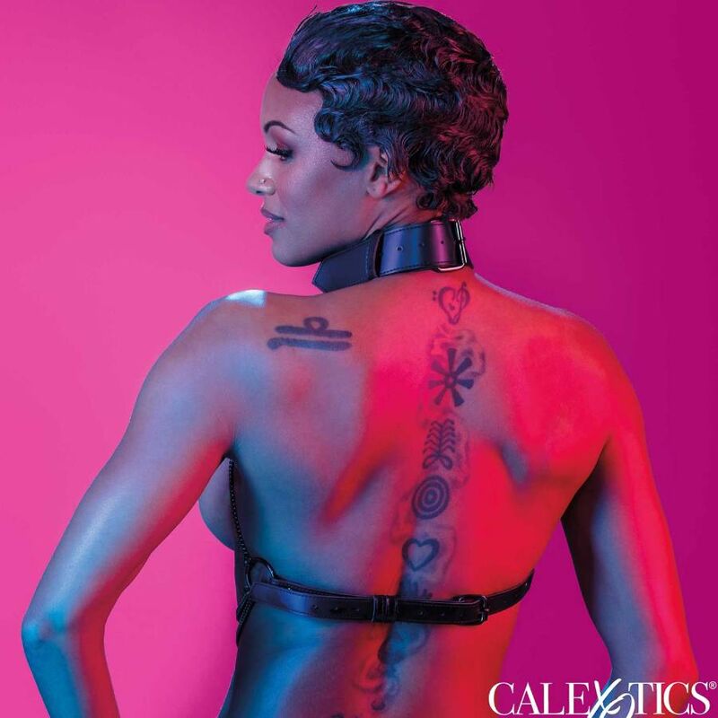 Harnais Collier Fétichiste Euphoria Multi Chaînes - Calexotics
