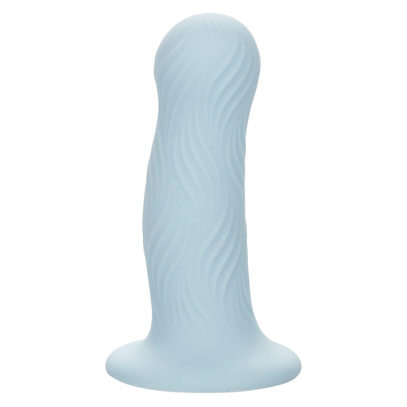 Plug Anal Wave Rider Texture Ondulée Base Ventouse Silicone - CalExotics