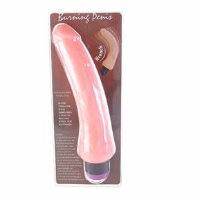 Vibromasseur Réaliste 19,5 cm Veines Détaillées Multi-Vitesses - Baile